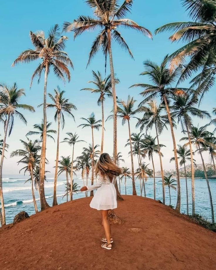 Coconut Tree Hill, Mirissa
